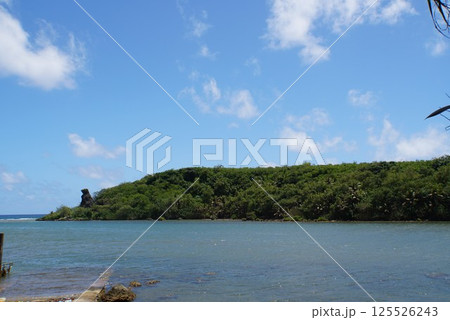 グアムのベアーロック 125526243