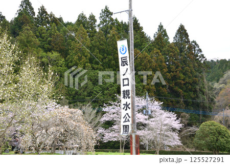 辰ノ口親水公園 2025 -4-12 #46 辰ノ口親水公園 2025 -4-12 #46 125527291