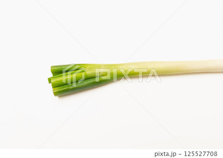 白ねぎ 125527708