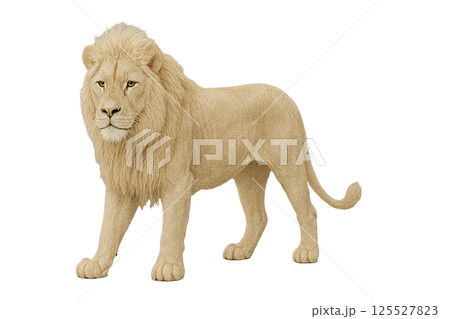 ホワイトライオン背景削除 125527823