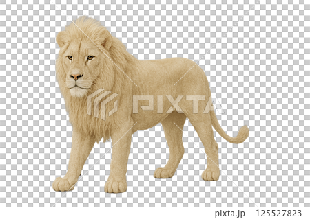 ホワイトライオン背景削除 125527823
