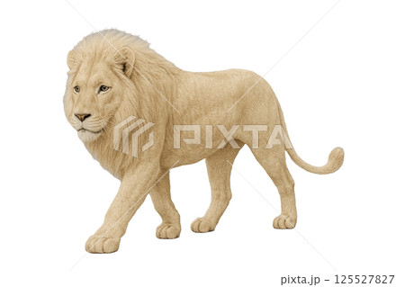 ホワイトライオン背景削除 125527827