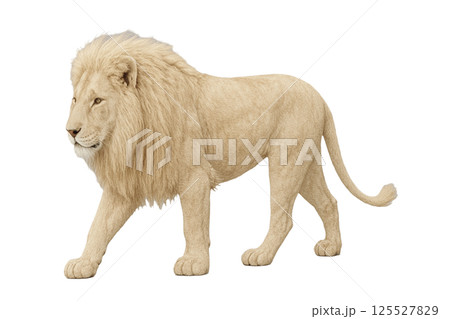 ホワイトライオン背景削除 125527829