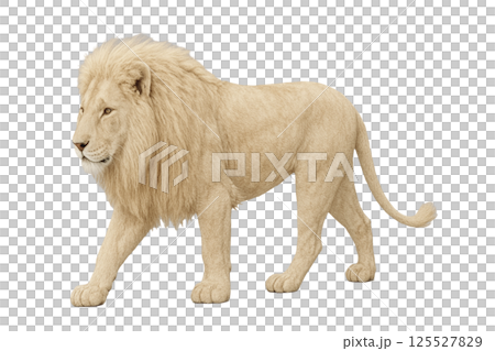 ホワイトライオン背景削除 125527829