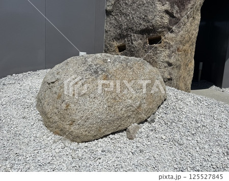 大阪関西万博残念石トイレ前小 125527845