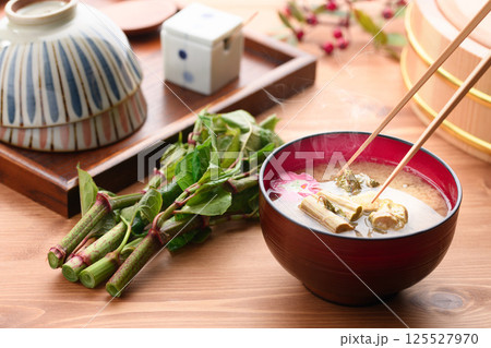春の贅沢 イタドリのお味噌汁 125527970