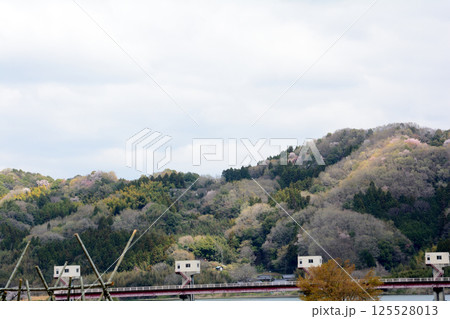 辰ノ口親水公園 2025-4-12 #69 辰ノ口親水公園 2025-4-12 #69 125528013