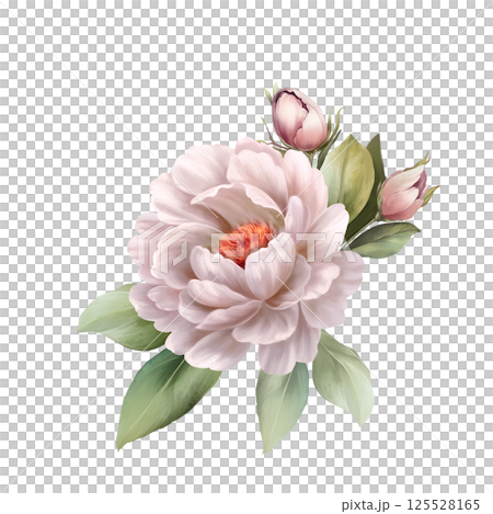Hand-painted digital watercolor illustration of a white rose with green leaves, ideal for wedding invitations, romantic decor, or spring-themed designs. Hand-painted digital watercolor illustration of a white rose with green leaves, ideal for wedding invitations, romantic decor, or spring-themed designs. 125528165