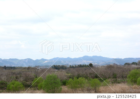 辰ノ口親水公園 2025-4-12 #77 辰ノ口親水公園 2025-4-12 #77 125528425