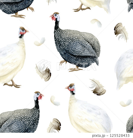 White and grey spotted guinea fowls with feathers watercolor seamless pattern. African farm poultry yard birds for funny and cute village animals designs in realistic style 125528433