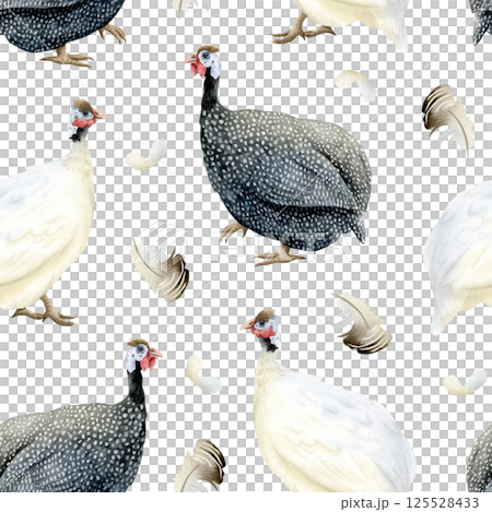White and grey spotted guinea fowls with feathers watercolor seamless pattern. African farm poultry yard birds for funny and cute village animals designs in realistic style 125528433