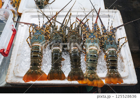 fresh lobsters on counter at the Asian night market in Vietnam in Asia fresh lobsters on counter at the Asian night market in Vietnam in Asia 125528636