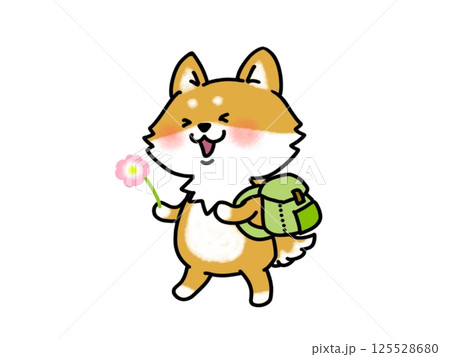お花を摘みながら楽しい遠足に行く柴犬さん お花を摘みながら楽しい遠足に行く柴犬さん 125528680