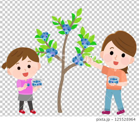 父母與孩子採藍莓的插畫 125528964