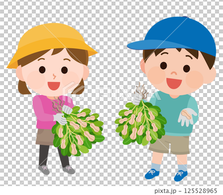 Boys and girls picking peanuts illustration 125528965