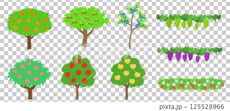 Fruit trees and fields set illustration 125528966