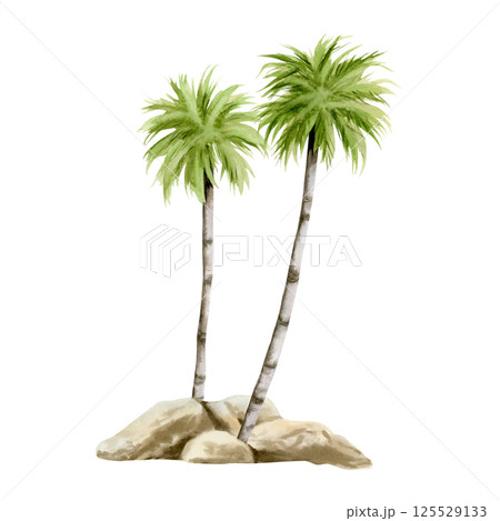 Two palm trees growing on stones watercolor illustration isolated on white background for tropical summer vacation and travel designs. Green exotic plants hand drawn clip art of Florida flora 125529133