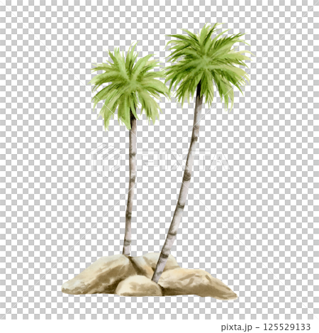 Two palm trees growing on stones watercolor illustration isolated on white background for tropical summer vacation and travel designs. Green exotic plants hand drawn clip art of Florida flora 125529133