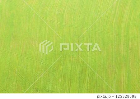 Aerial view of agricultural green field. Plowed agricultural field. Aerial view. Agricultural land. Rural andscape top view. 125529398