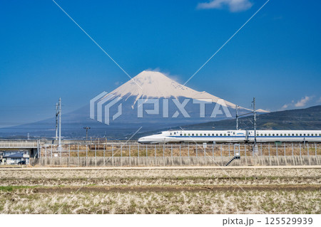 富士山と新幹線 富士山と新幹線 125529939