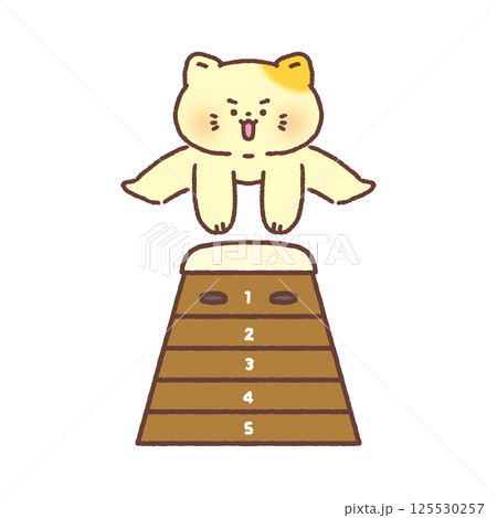 跳び箱をする猫 125530257