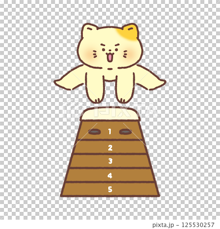 Cat jumping over a box 125530257