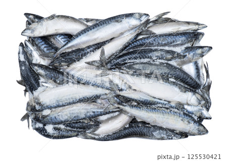 Frozen mackerel isolated. Frozen group of fish. Iced fish. Heap of mackere isolated on white background. Mackerel pattern. Mackerel texture. Fish background Frozen mackerel isolated. Frozen group of fish. Iced fish. Heap of mackere isolated on white background. Mackerel pattern. Mackerel texture. Fish background 125530421