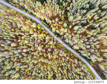 Aerial view of a country road in the forest with moving cars. Beautiful landscape. Captured from above with a drone. Aerial bird's eye road with car. Aerial top view forest. Texture of forest view 125530675