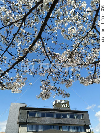 館林うどん 本店 125531059