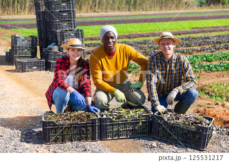 Multinational group of smiling farmers posing with crates at the farm field Multinational group of smiling farmers posing with crates at the farm field 125531217