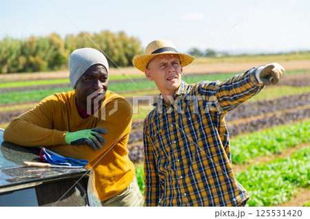 Two male farm workers talking near car on farm field Two male farm workers talking near car on farm field 125531420