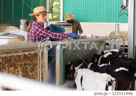 Female farmer feeding calf in the cowshed 125531446