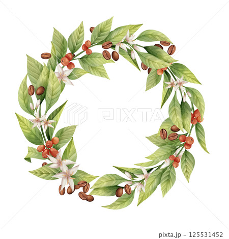 Wreath composed of coffee leaves, blossoms, cherries, and roasted beans, suitable for coffee-themed decor or designs Wreath composed of coffee leaves, blossoms, cherries, and roasted beans, suitable for coffee-themed decor or designs 125531452