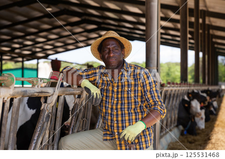 African American cow breeder standing in outdoor cowshed 125531468