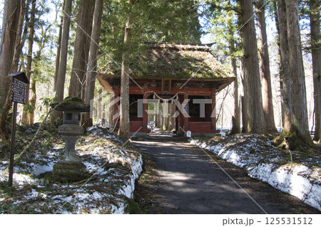 残雪の戸隠神社 奥社の参道の杉並木と随神門 長野県長野市 残雪の戸隠神社 奥社の参道の杉並木と随神門 長野県長野市 125531512