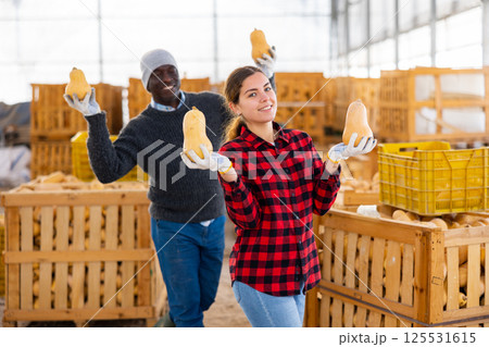 Funny farmers posing with pumpkins Funny farmers posing with pumpkins 125531615