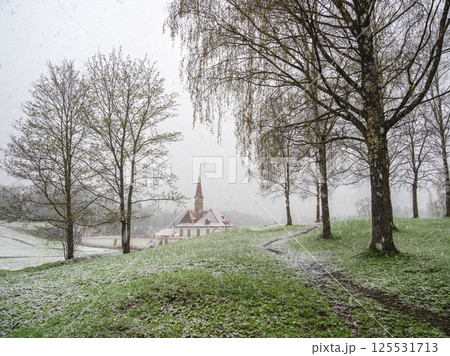 Gatchina Priory Palace in spring, Russia 125531713