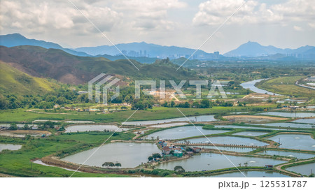 Tranquil Hoo Hok Wai wetland on April 20, 2025 Tranquil Hoo Hok Wai wetland on April 20, 2025 125531787