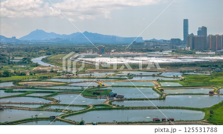 Tranquil Hoo Hok Wai wetland on April 20, 2025 125531788