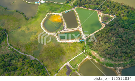 View of Ponds in Verdant Countryside Landscape April 20 2025 125531834