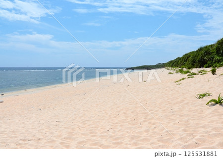 日本最南端のビーチ「ペムチ浜」(波照間島) 日本最南端のビーチ「ペムチ浜」(波照間島) 125531881