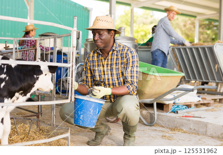 African american man with a bucket feeds a young calf 125531962