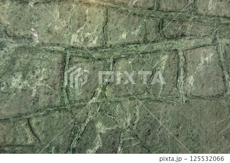 Green Marble texture with natural pattern for background or design art work. Green Marble texture with natural pattern for background or design art work. 125532066