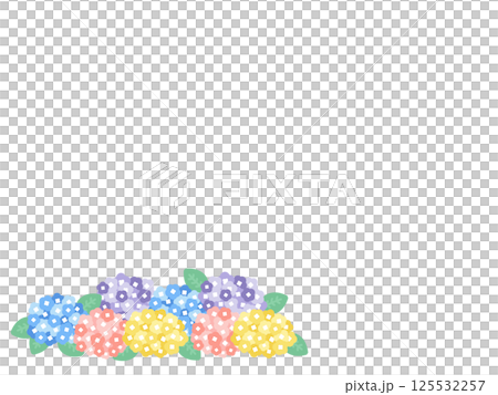 雨季繡球花背景框架圖 雨季繡球花背景框架圖 125532257