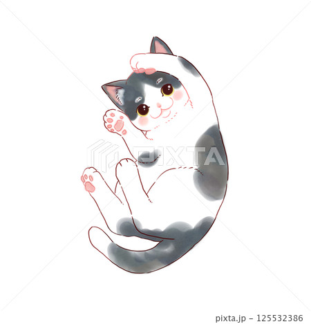 猫　ハチワレ 125532386