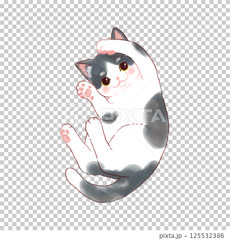 猫　ハチワレ 125532386