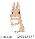 うさぎ　ネザーランドドワーフ 125532387