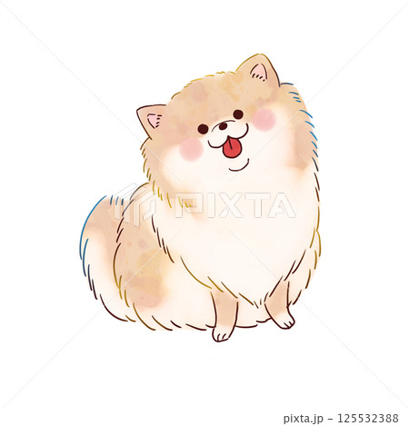 犬　ポメラニアン 125532388