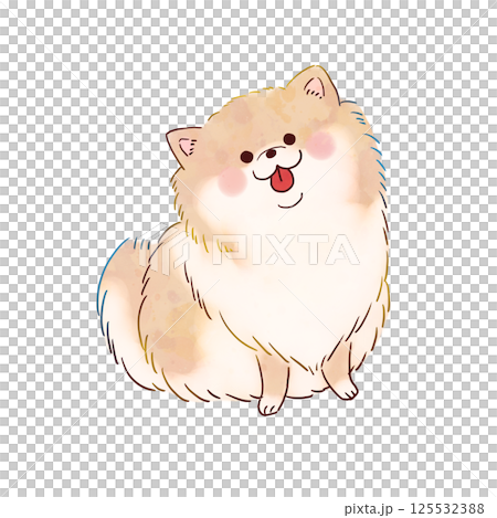 犬　ポメラニアン 125532388