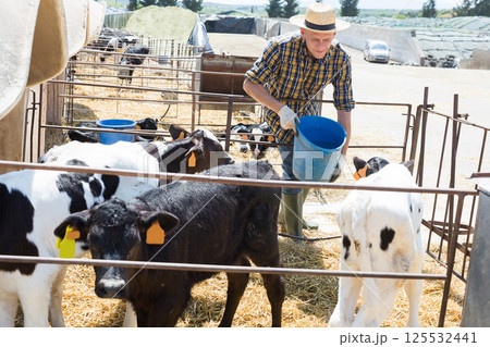 Farmer working in stall, feeding cows with water Farmer working in stall, feeding cows with water 125532441